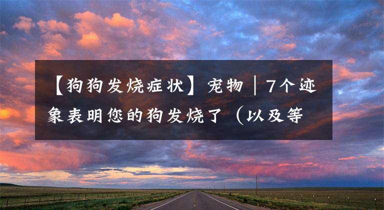 【狗狗发烧症状】宠物｜7个迹象表明您的狗发烧了（以及等待兽医时该怎么办）