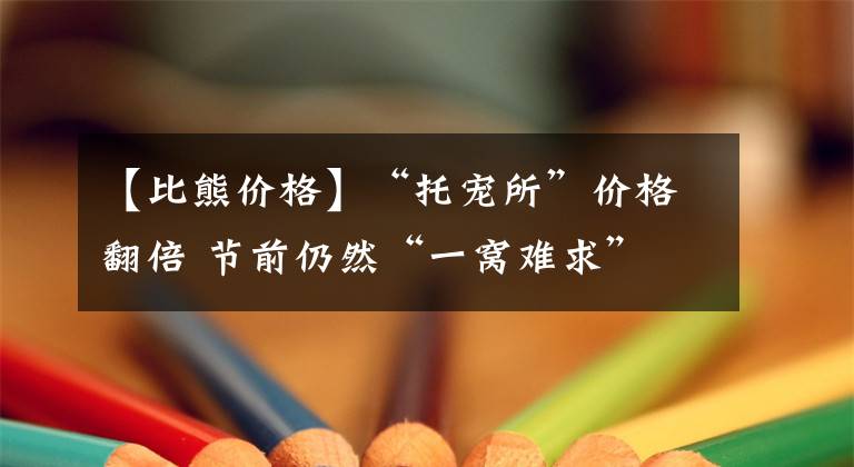 【比熊价格】“托宠所”价格翻倍 节前仍然“一窝难求”