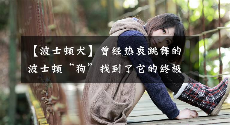 【波士顿犬】曾经热衷跳舞的波士顿“狗”找到了它的终极宿命：搬砖