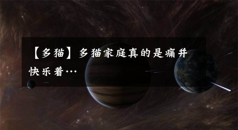 【多猫】多猫家庭真的是痛并快乐着…