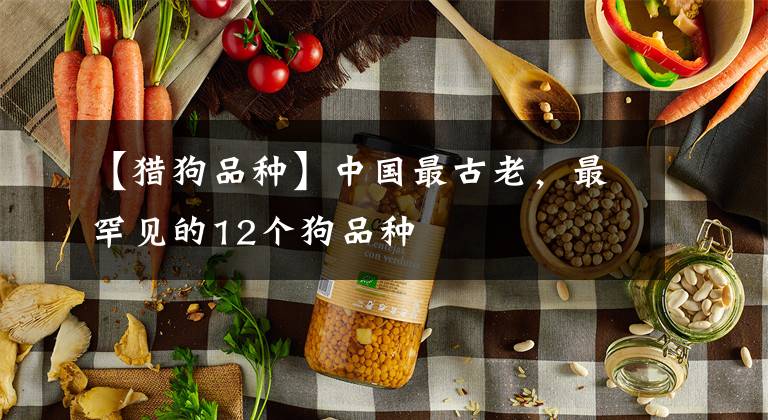 【猎狗品种】中国最古老，最罕见的12个狗品种
