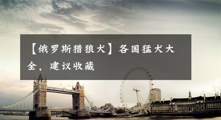 【俄罗斯猎狼犬】各国猛犬大全,建议收藏