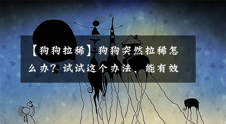 【狗狗拉稀】狗狗突然拉稀怎么办？试试这个办法，能有效解决问题