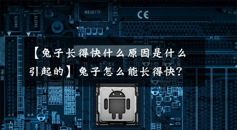 【兔子长得快什么原因是什么引起的】兔子怎么能长得快？