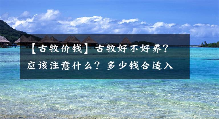 【古牧价钱】古牧好不好养？应该注意什么？多少钱合适入手？