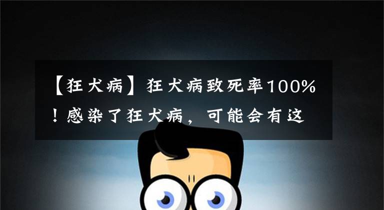 【狂犬病】狂犬病致死率100%!感染了狂犬病,可能会有这4个表现