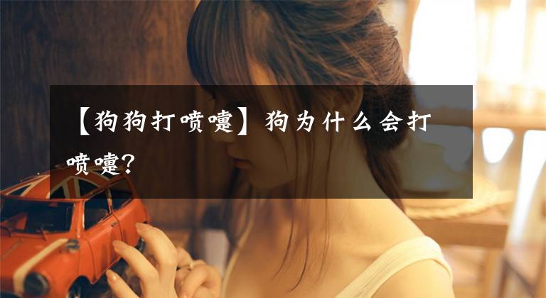 【狗狗打喷嚏】狗为什么会打喷嚏？