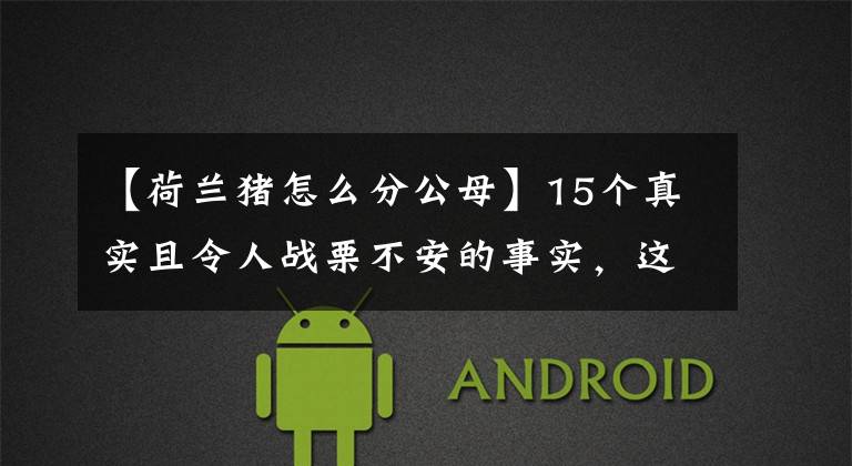【荷兰猪怎么分公母】15个真实且令人战栗不安的事实，这些知识你可能从未听说过