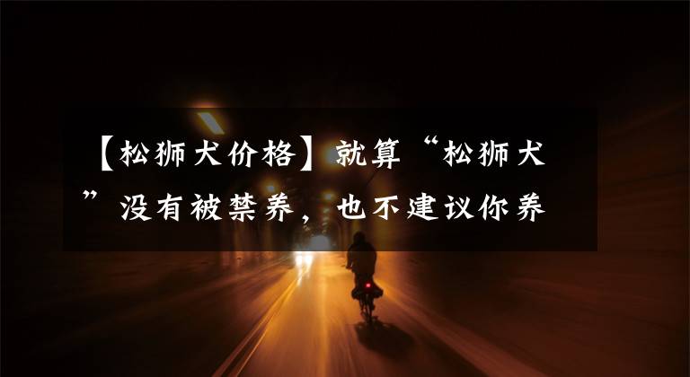 【松狮犬价格】就算“松狮犬”没有被禁养,也不建议你养,原因有七个
