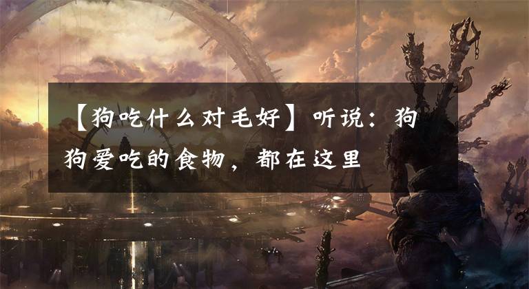 【狗吃什么对毛好】听说:狗狗爱吃的食物,都在这里