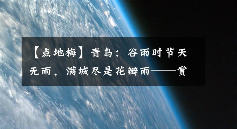 【点地梅】青岛:谷雨时节天无雨,满城尽是花瓣雨——赏20 种花草树木