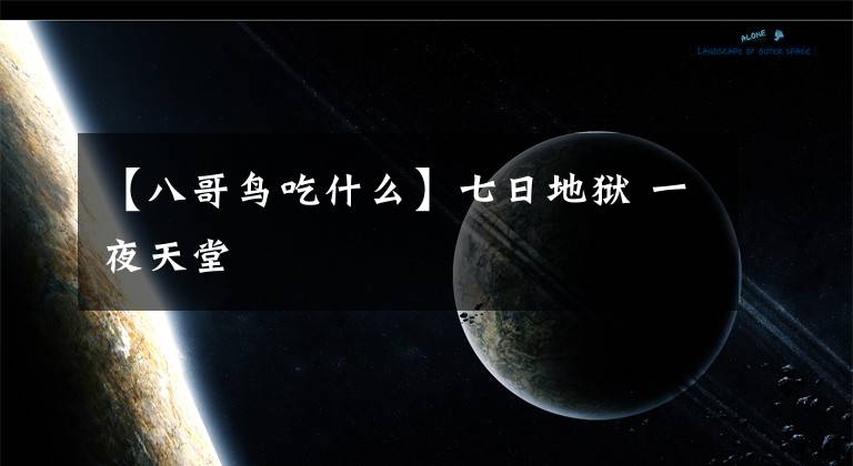 【八哥鸟吃什么】七日地狱 一夜天堂
