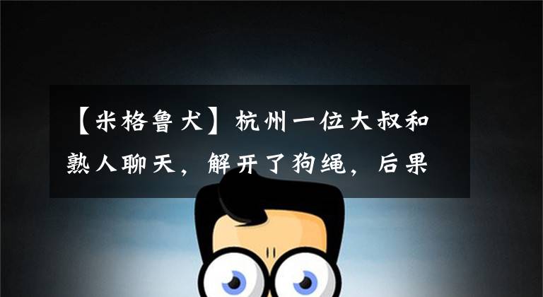 【米格鲁犬】杭州一位大叔和熟人聊天,解开了狗绳,后果很严重