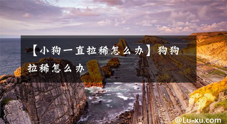 【小狗一直拉稀怎么办】狗狗拉稀怎么办