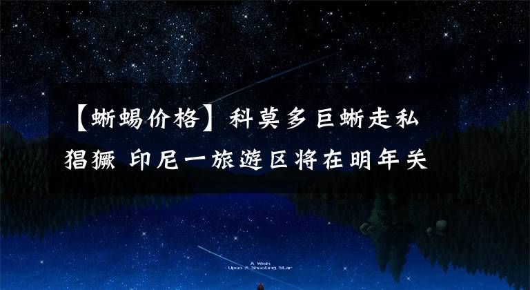 【蜥蜴价格】科莫多巨蜥走私猖獗 印尼一旅游区将在明年关闭1年