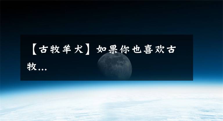 【古牧羊犬】如果你也喜欢古牧...