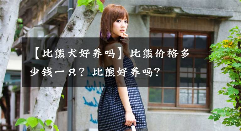 【比熊犬好养吗】比熊价格多少钱一只?比熊好养吗?