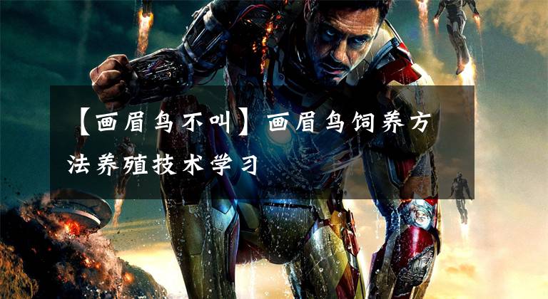 【画眉鸟不叫】画眉鸟饲养方法养殖技术学习