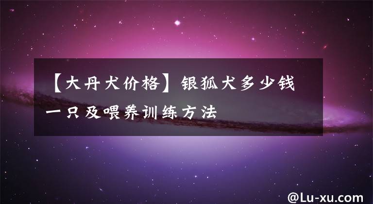 【大丹犬价格】银狐犬多少钱一只及喂养训练方法