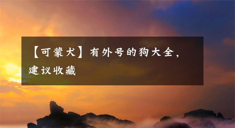 【可蒙犬】有外号的狗大全，建议收藏