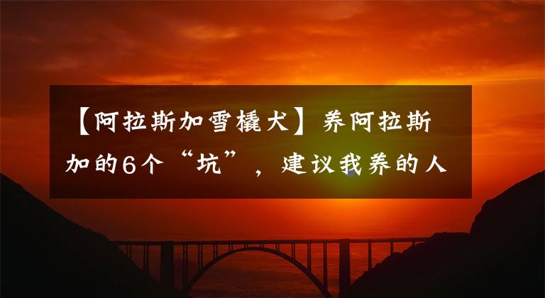 【阿拉斯加雪橇犬】养阿拉斯加的6个“坑”,建议我养的人站出来