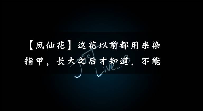 【凤仙花】这花以前都用来染指甲,长大之后才知道,不能碰小心中毒