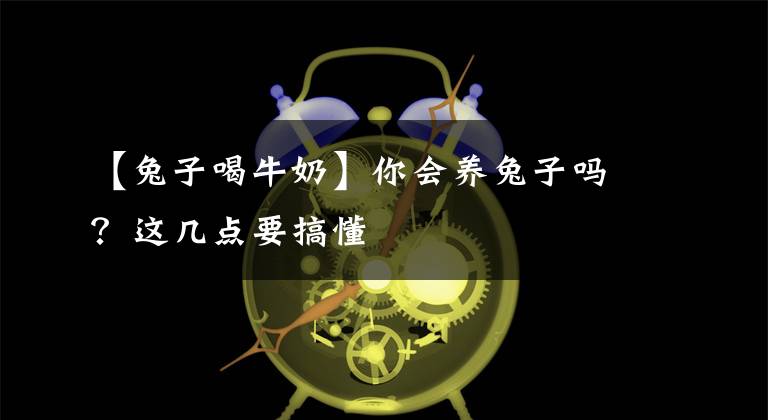 【兔子喝牛奶】你会养兔子吗?这几点要搞懂