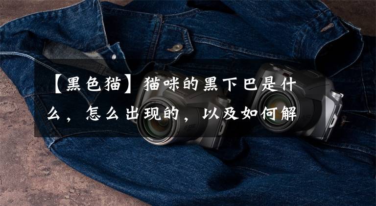 【黑色猫】猫咪的黑下巴是什么,怎么出现的,以及如何解决?全攻略