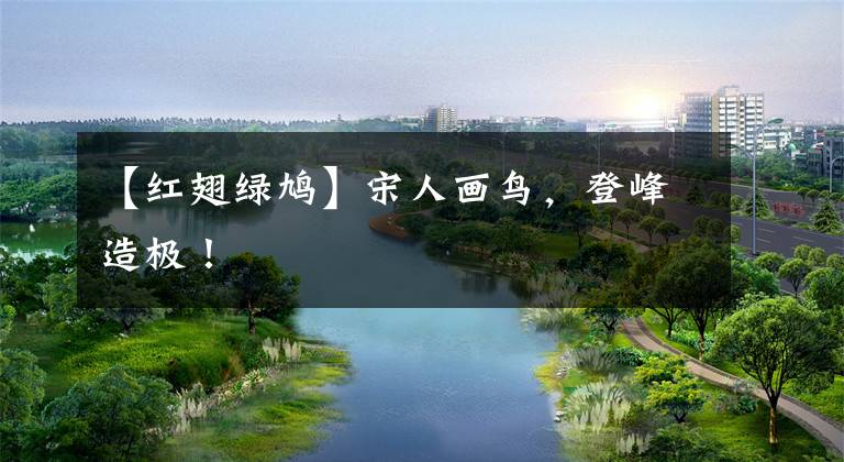 【红翅绿鸠】宋人画鸟，登峰造极！