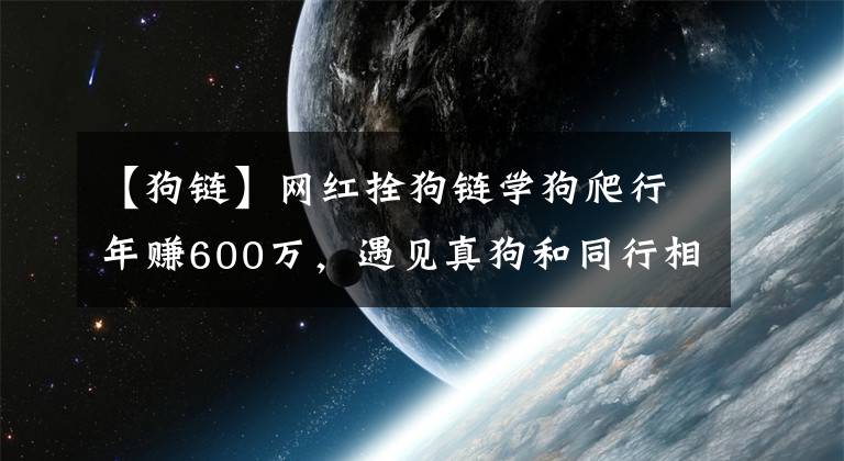 【狗链】网红拴狗链学狗爬行年赚600万,遇见真狗和同行相互对吠