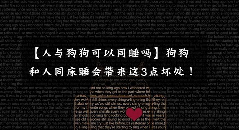 【人与狗狗可以同睡吗】狗狗和人同床睡会带来这3点坏处!“毛孩子”家长们要注意