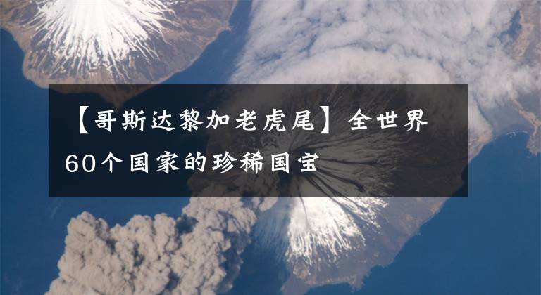 【哥斯达黎加老虎尾】全世界60个国家的珍稀国宝
