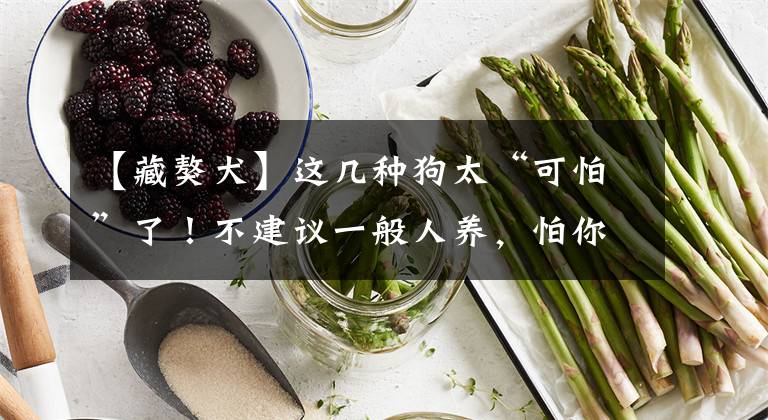 【藏獒犬】这几种狗太“可怕”了！不建议一般人养，怕你承受不来