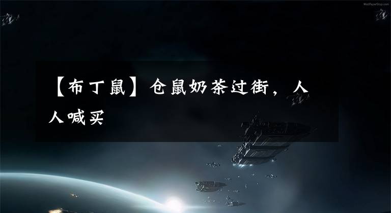 【布丁鼠】仓鼠奶茶过街，人人喊买