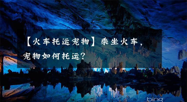 【火车托运宠物】乘坐火车，宠物如何托运？