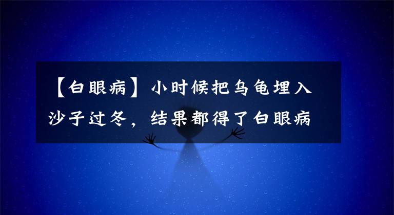 【白眼病】小时候把乌龟埋入沙子过冬，结果都得了白眼病