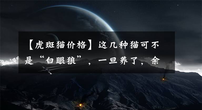 【虎斑猫价格】这几种猫可不是“白眼狼”，一旦养了，余生心里只有你