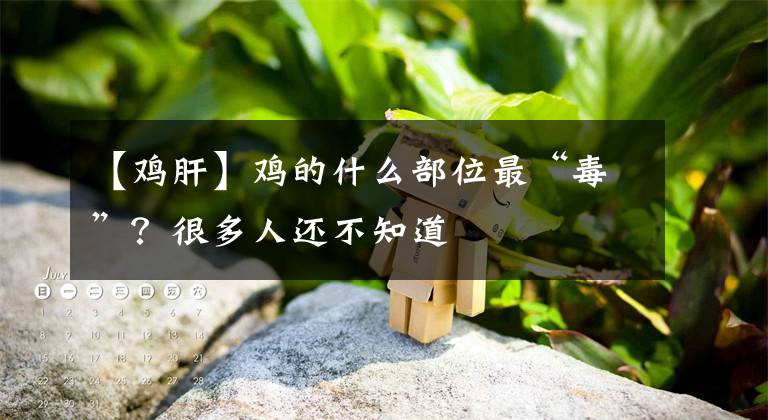 【鸡肝】鸡的什么部位最“毒”？很多人还不知道