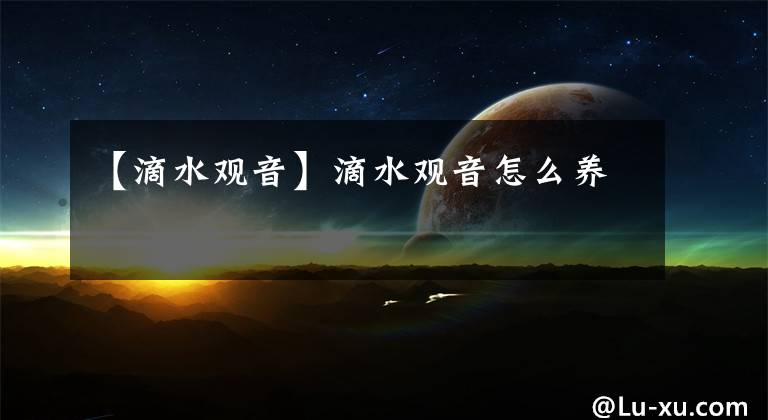 【滴水观音】滴水观音怎么养