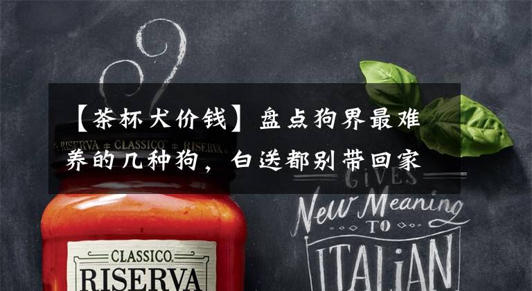 【茶杯犬价钱】盘点狗界最难养的几种狗,白送都别带回家