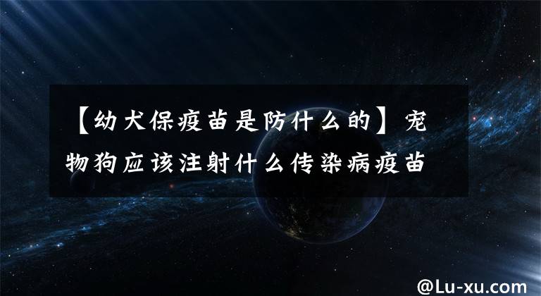 【幼犬保疫苗是防什么的】宠物狗应该注射什么传染病疫苗?