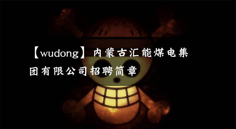 【wudong】内蒙古汇能煤电集团有限公司招聘简章