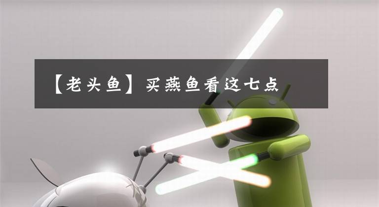 【老头鱼】买燕鱼看这七点