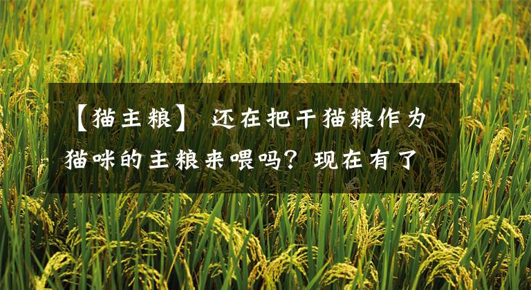 【猫主粮】 还在把干猫粮作为猫咪的主粮来喂吗?现在有了更好的选择
