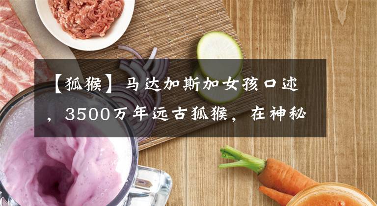 【狐猴】马达加斯加女孩口述，3500万年远古狐猴，在神秘非洲岛国濒临灭绝