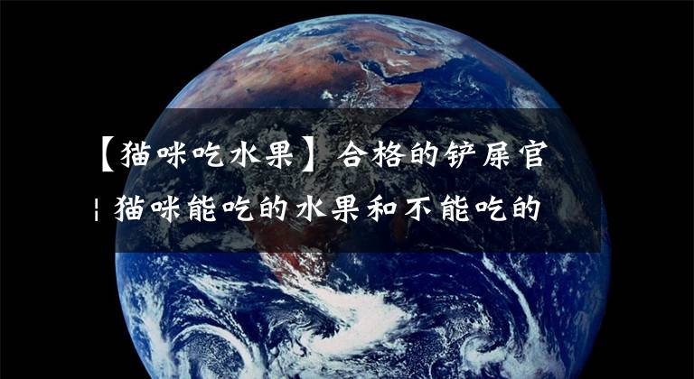 【猫咪吃水果】合格的铲屎官 | 猫咪能吃的水果和不能吃的水果都有哪些？