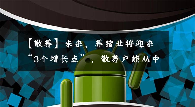 【散养】未来，养猪业将迎来“3个增长点”，散养户能从中获取哪些红利？