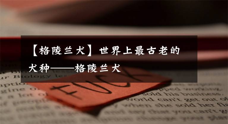 【格陵兰犬】世界上最古老的犬种——格陵兰犬