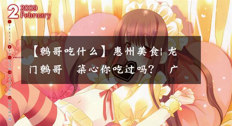 【鹩哥吃什么】惠州美食| 龙门鹩哥脷菜心你吃过吗? 广东人爱吃会吃,讲究无鸡不成宴,也注意养生荤素搭配。 姐在惠州龙门参加“龙门鹩哥脷菜心推介会”,发现除了增城迟菜心、连州菜心之外,龙门鹩哥脷菜心