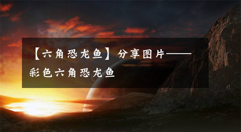 【六角恐龙鱼】分享图片——彩色六角恐龙鱼